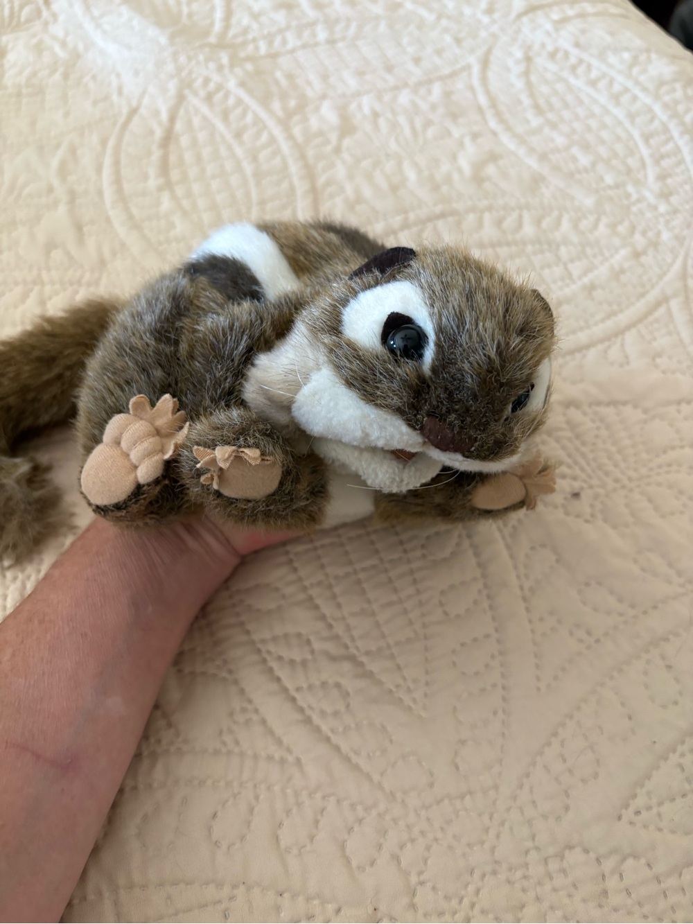 Folkmanis Chipmunk Puppet.